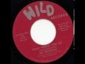 The Precisions - What would I do - Wild