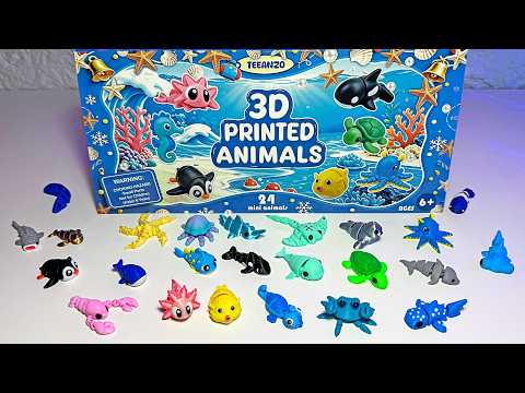New 3D Sea Animals Advent Calendar - Hammerhead Shark, Jellyfish, Dolphin, Narwhal, Seahorse, Whale
