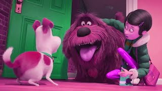 Pets2 - Max This Is Duke Animation Sponsored By Klaskycsupo 2001 Effects