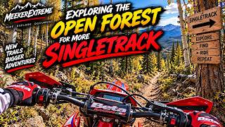 Exploring the Open Forest for more Singletrack
