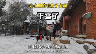 （381）深山隐居第七年，雪下得格外大，狗狗们看到这片白色的世界兴奋不已