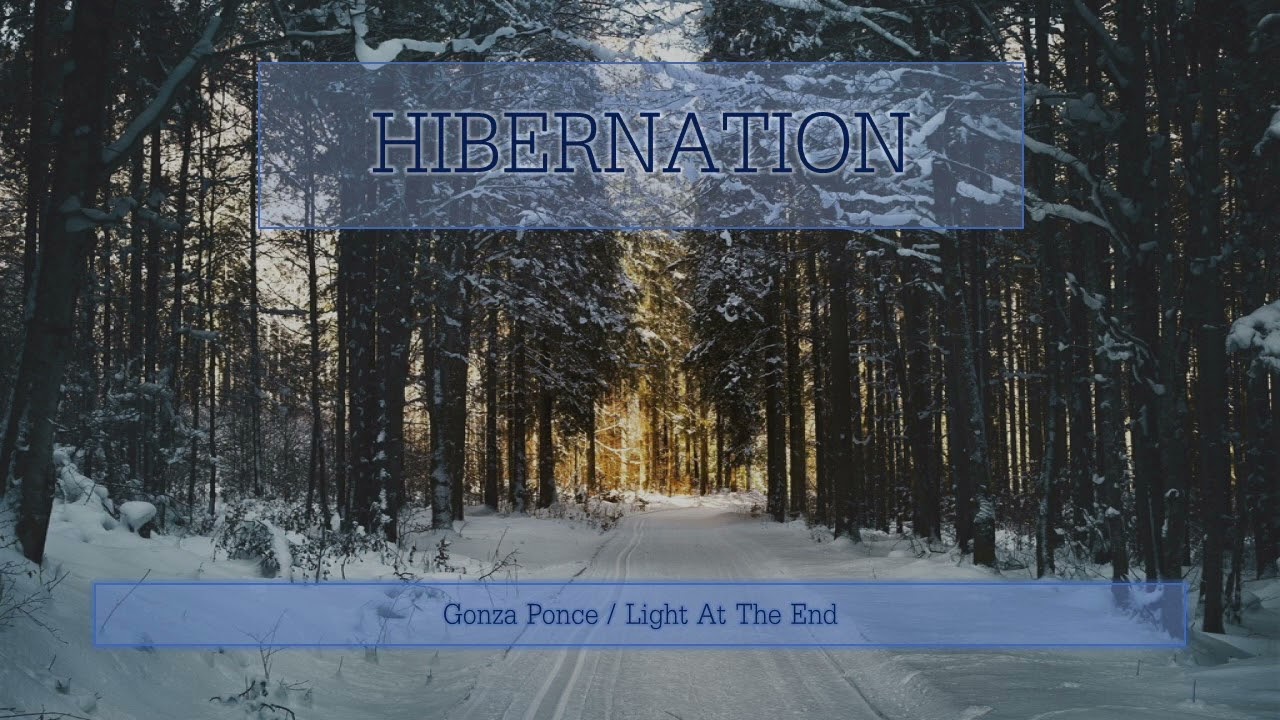 Watch Hibernation - 20 Beautiful, Melodic Progressive Tracks in the Mix on YouTube Watch Hibernation - 20 Beautiful, Melodic Progressive Tracks in the Mix on YouTube