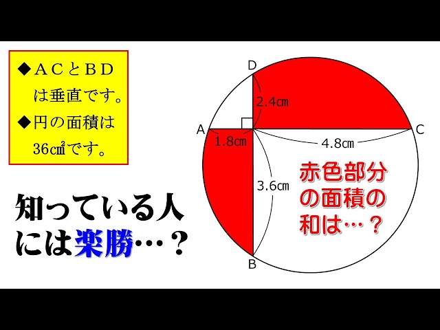 白百合学園中学校 2018-2022年度 帰国生入試過去問題 白百合学園中学校 2018-2022年度 帰国生入試過去問題 Amazon.co