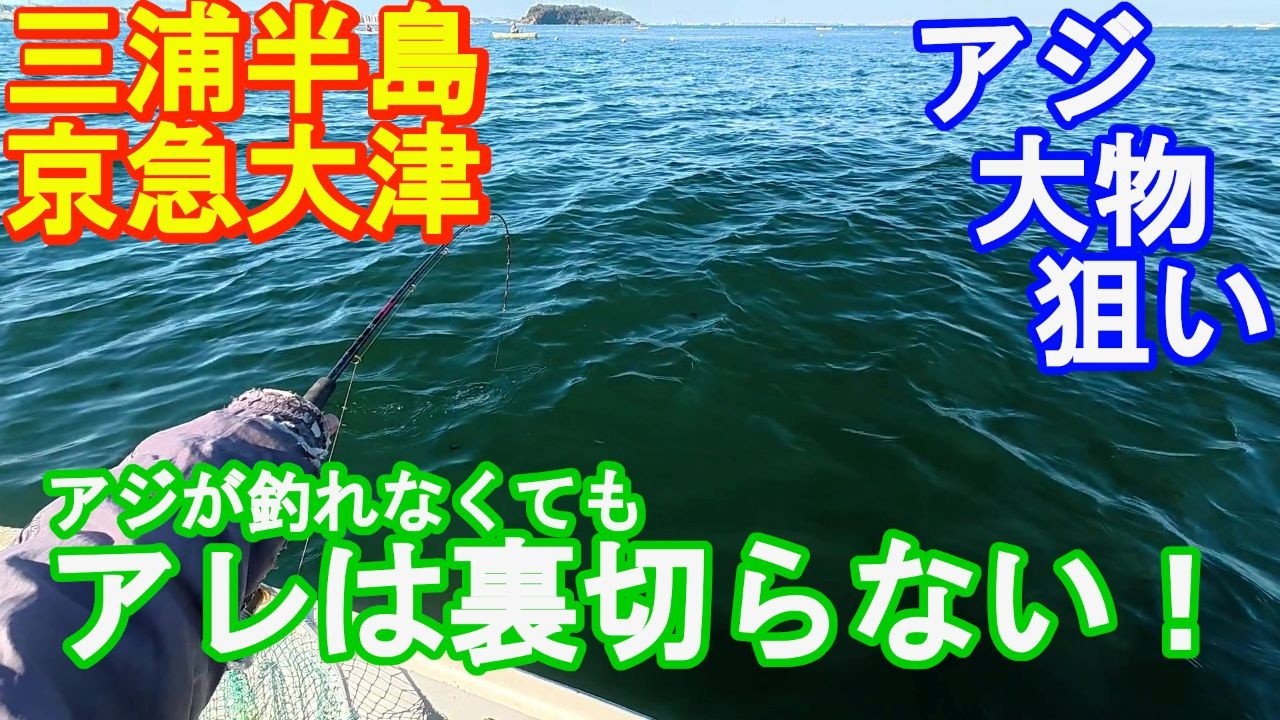 ♯346【京急大津ボート釣り】自分だけアジが釣れない！？それはデッカイ奴がいるサイン！
