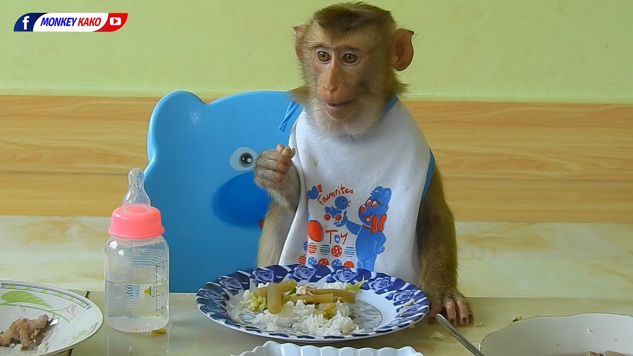 Happy Nice Day | Adorable Luna Joining Lunch With Mom And Sister
