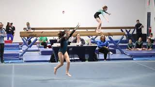 Shenandoah Floor routine 3/2024