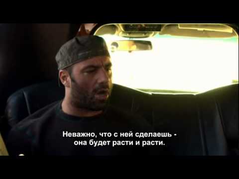 Джо роган я машина