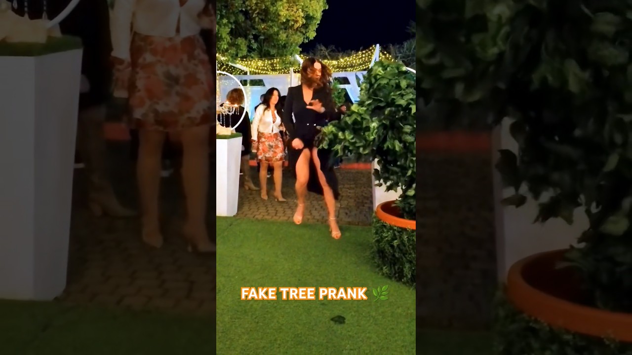 migliore reazione scherzo pianta 