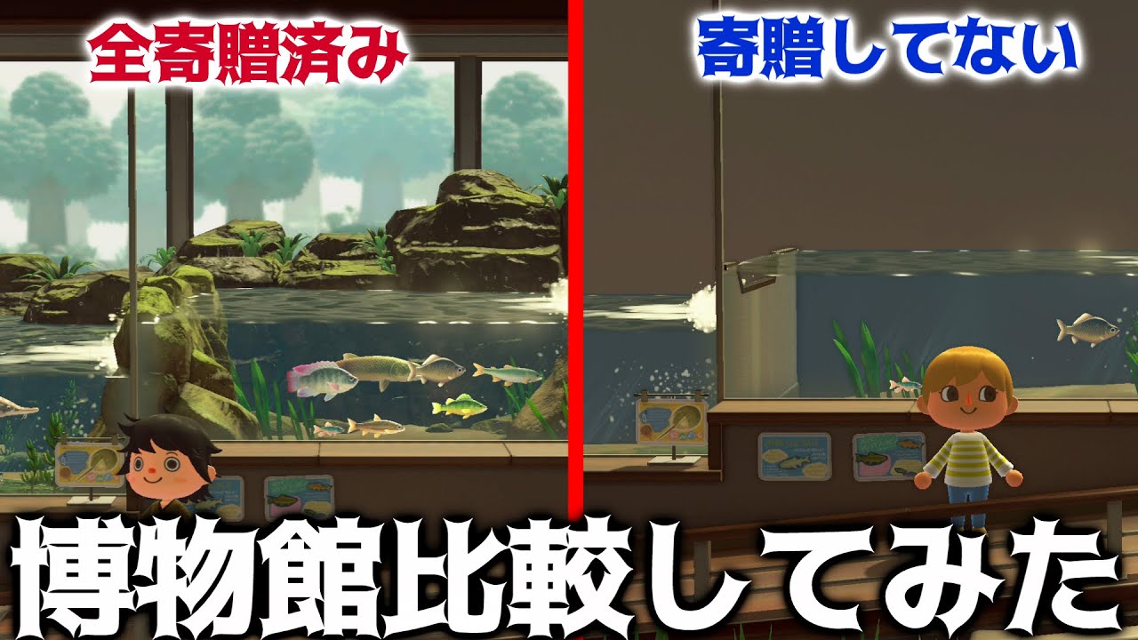 Animal Crossing] You Won't Believe the Difference! Comparing a