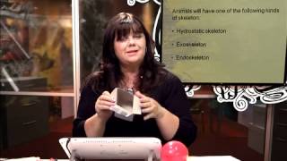 LS Lesson 16 Segment 1 SD Video Sharing copy