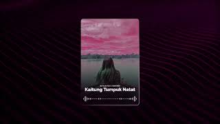 Download Lagu in.plan ft.Firmayati - Kaitung Tumpuk Natat (Visualizer) MP3