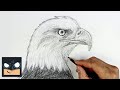 How to draw a bald eagle  sketch sunday