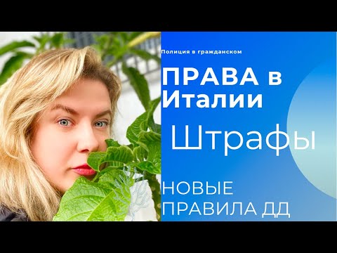 Вождение В Италии (новые правила) и большие Штрафы