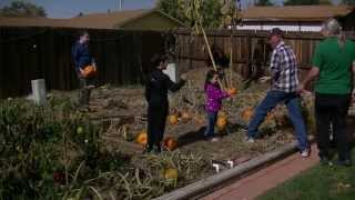Pumpkin patch kids harvest