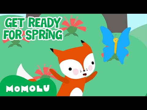 Momolu - Get Ready for Spring! 🌷🌿 | Momolu and Friends | 10+ MINS | Compilation | @MomoluOfficial