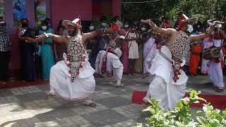 Десткая свадьба(Children&#39;s wedding)в Котавила(Kotawila),Шри-Ланка(Sri Lanka)