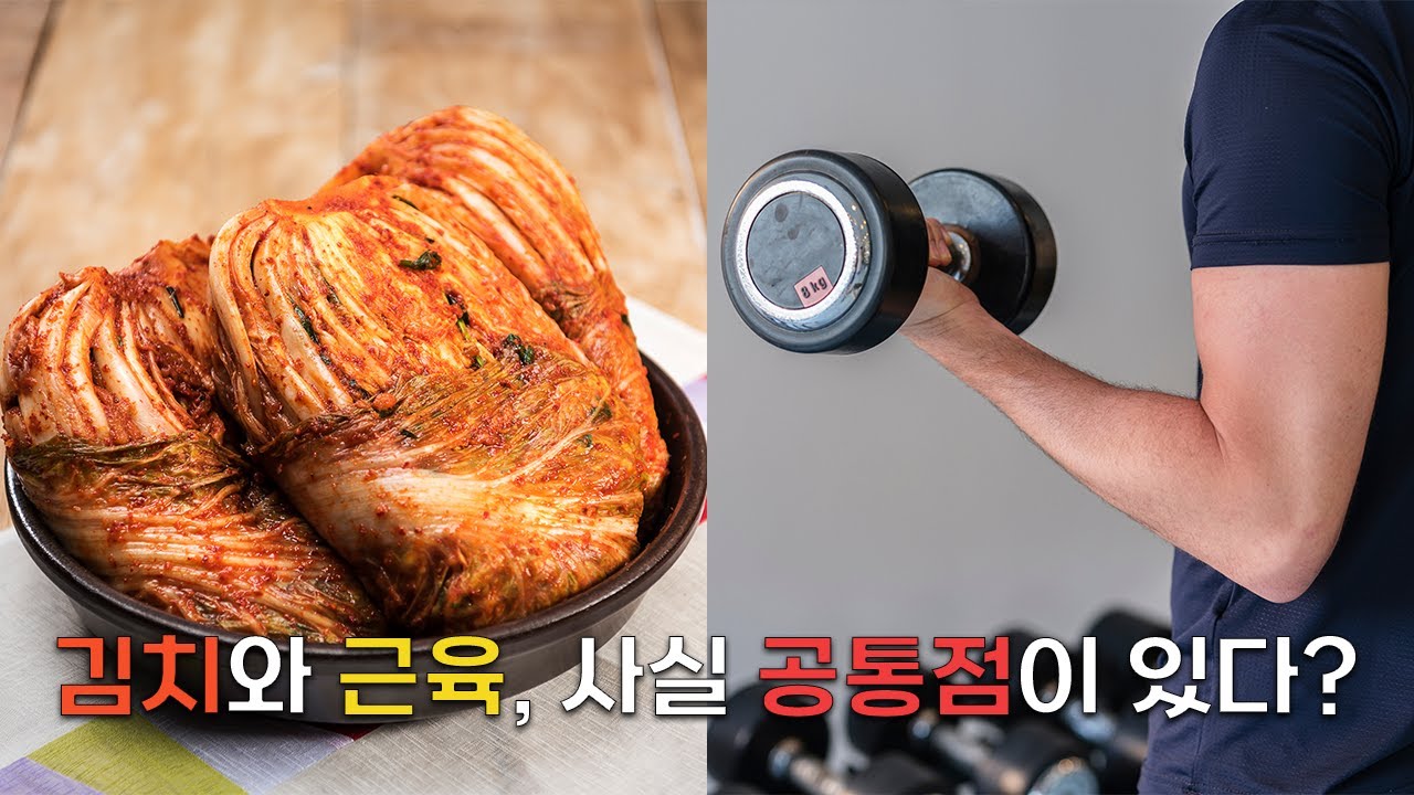 김치랑 근육, 사실 공통점이 있다고? | 젖산발효(Lactic acid fermentation) - YouTube