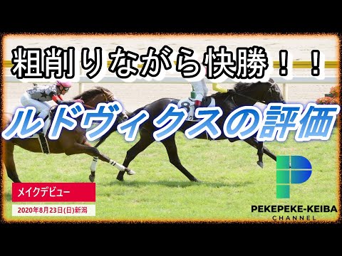 【粗削りながら快勝！！】モーリス産駒　ルドヴィクスの評価　POG2020-2021　クラシックホースを探せ【元騎手候補生ペケペケの競馬チャンネル】