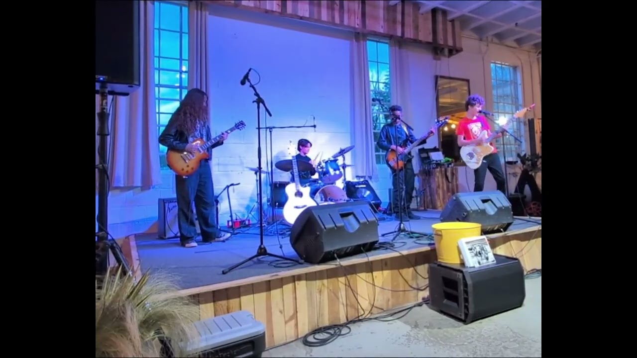 The Rays: Buskerfest Demo