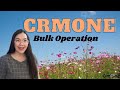 CrmOne | Bulk Operations