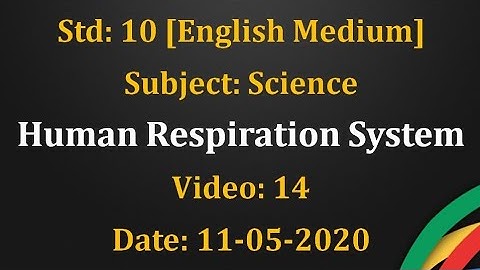 Std 10 Science "Life processes: Human respiratory system"Video:14 Date: 11-05-2020