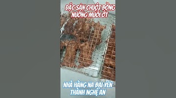 ĐẶC SẢN CHUỘT ĐỒNG Ở QUÊ HƯƠNG YÊN THÀNH NGHỆ AN NHÀ HÀNG NA ĐẠI