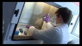 High Growth Award Winner 2010 - Roslin Cells