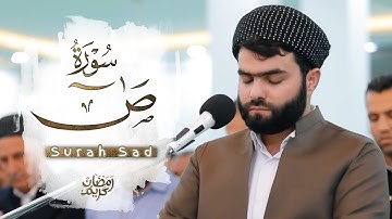 سورة ص كاملة ترتيل مميز لاول مرة تنشر - بيشةوا قادر الكردي | Surah Sad By Sheikh  Peshawakurdi