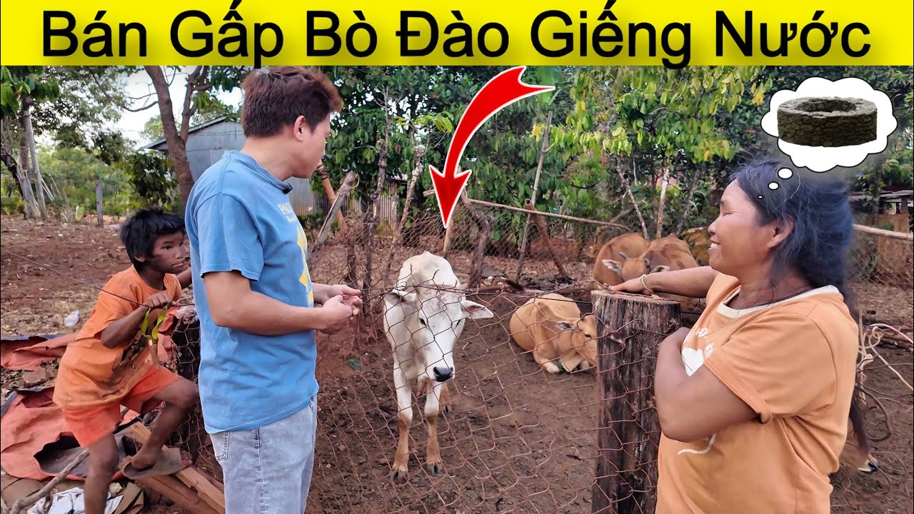 Gấp Gấp - Ước Mơ Có Giếng Nước Để Cả Nhà Sinh Hoạt và Ăn Uống