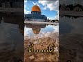 اغنية كفاح زريقي أنا إبن القدس ومن هوان 
