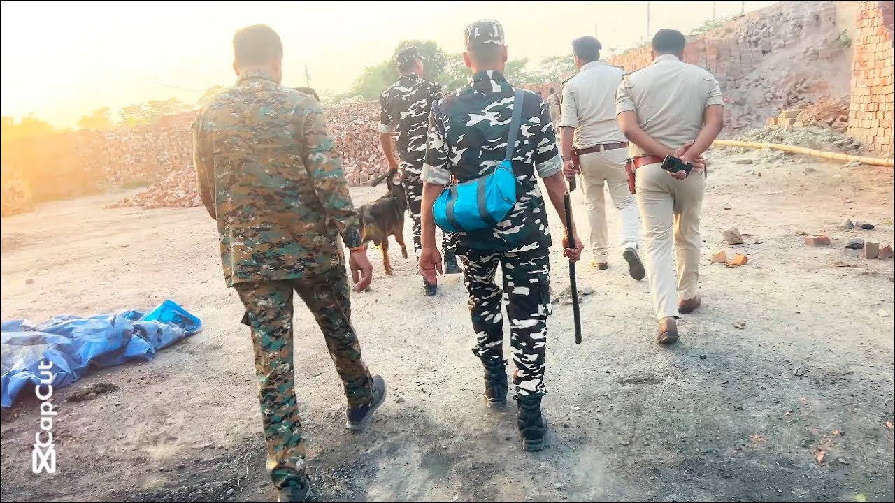 Bihar police Dogs squat team || police investigation dog || dog prade || police dog research