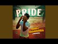 Capture de la vidéo Pride (Egwu Nganaba)
