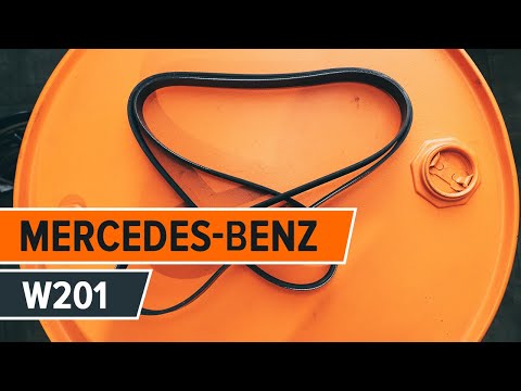 Come sostituire la cinghia a serpentina, la puleggia tendicinghia su MERCEDES-BENZ 190 W201