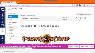 ENG102 Canvas Overview Modules