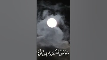 تلاوة القارئ عبدالعزيز الفقيه
