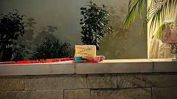 Skeleton Scuba Divers Sitting On A Wall  hvec