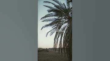 سورة الفاتحة #قران_كريم #آيات #ايات_قرانيه_قصيره