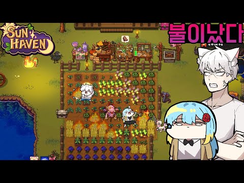 - 선 헤이븐 [Sun <strong>Haven</strong>]