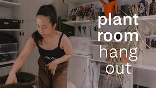 THE PESTS ARE BACK 🥲🕷️ | casual plant room hangout & chat