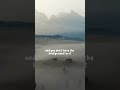 Most amazing motivational Speech