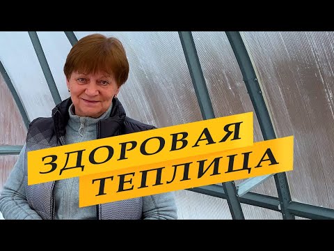 Обработка теплицы от болезней и вредителей