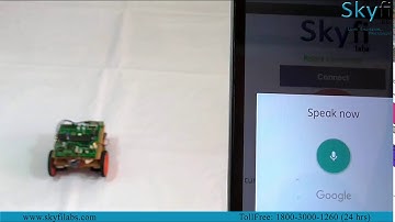 Voice Controlled Robot - Skyfi Labs Online Challenge