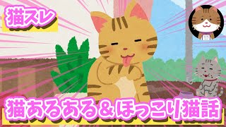 【2ch面白いスレ】猫あるある＆猫話【ゆっくり】