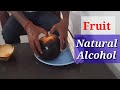 Palm Tree Fruit | Toddy Palm | Palm Fruit | ताड फल