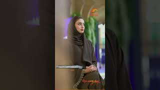 Pathway to COP28