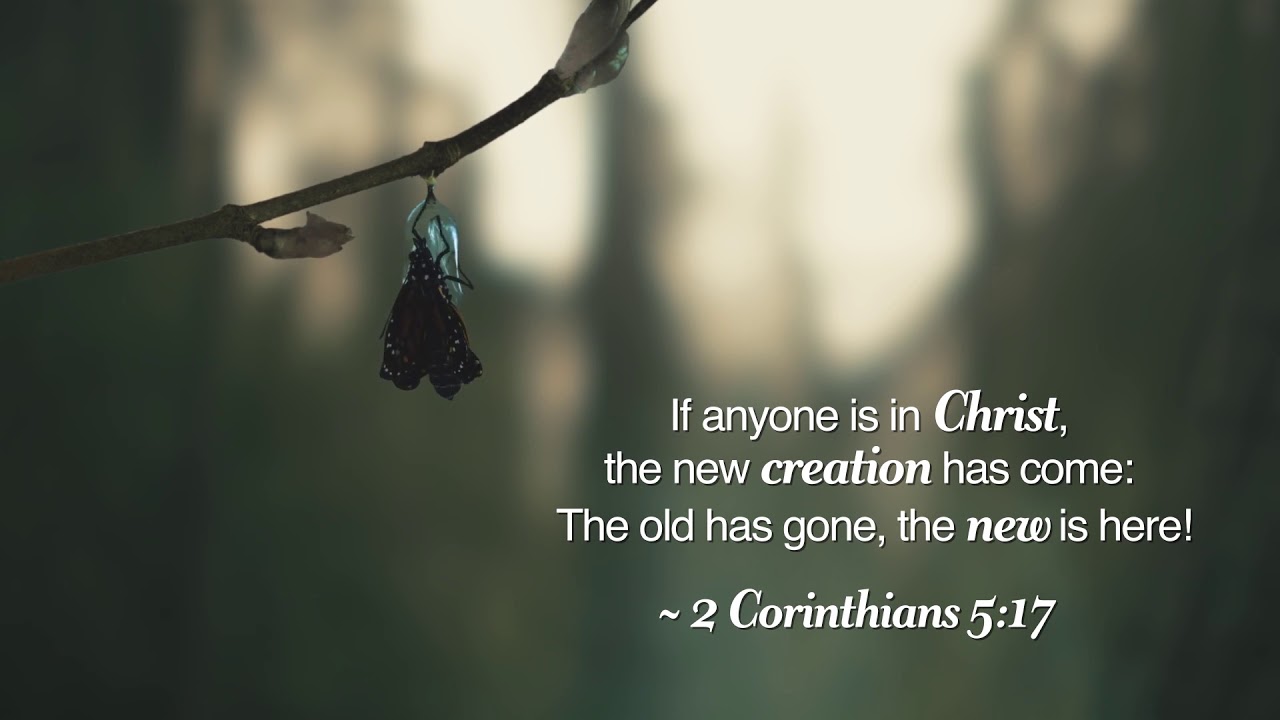 Brevard Rescue Mission to New Life Mission Logo Reveal