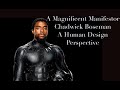 A Magnificent Manifestor/ Chadwick Boseman: A Human Design Perspective with Denise Mathew