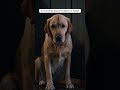 I Made a Viral AI Drama in 60 Seconds