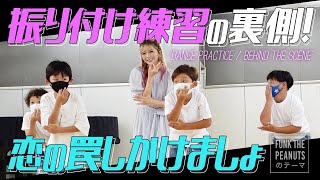 【新曲】振り付けの練習現場に潜入したら、振りの決め方が独特すぎた…!?【恋の罠しかけましょ~FUNK THE PEANUTSのテーマ~】