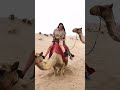 Emotions Reactions Funny Att The Camel Ride Att The Desert Safari Camp Al Aweer Desertsafaridxbme 